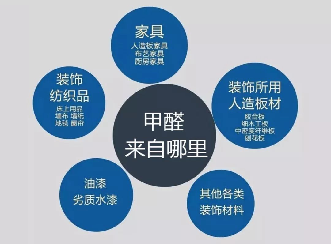 甲醛大香蕉在线播放