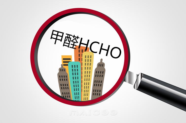 甲醛大香蕉在线播放